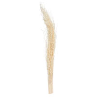 8"-12" Khejur Jhar Bleached Palm 25/pk