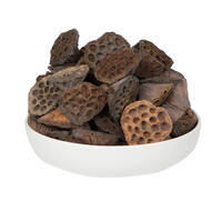 Vickerman Natural Botanicals Lotus Pod