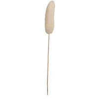 20" Bleached Luffa on Stem 25/pk