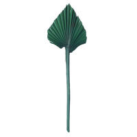 Vickerman Natural Botanicals Dried Palm Spear