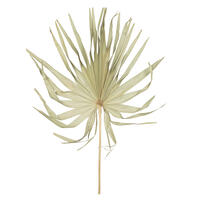 32-40" Natural Palm Leaf Uncut 12/bg
