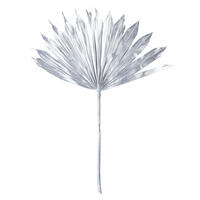 Vickerman 13.75-19.5" Natural Botanicals Dried Palm Sun Spear