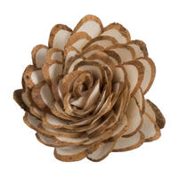 1-3" Assort Natural Sola Head #32 24/bg