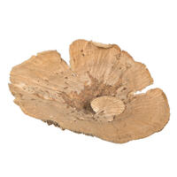 4"-6" Sponge Mushroom Med 50/pk