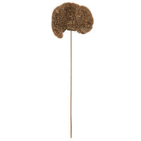 Sponge Mushroom