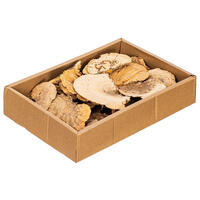 Vickerman Natural Botanicals Dried Assorted 4-6 inch Sponge Mushrooms 