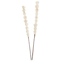 24" Natural Sola Rajani Stick 24/bg