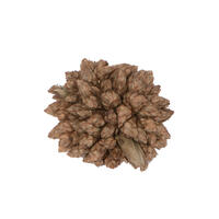 0.8" Star Flower Natural 2 kgs/pk