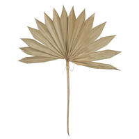 30-34" x 21" Dried Nat Super Palm 12bg