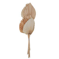 Vickerman Natural Botanicals 21" King Palm Spear, 10/Pk