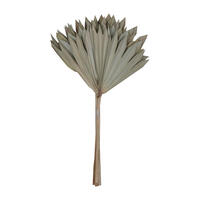 Vickerman Natural Botanicals 20" Palm Sun Stem, 12/Pk