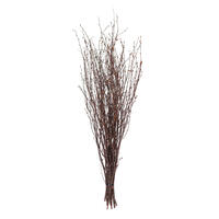 Vickerman Dried Natural Brown Birch Twig
