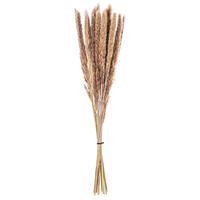 Vickerman 30" Dried  Reed Bunch. Approximately 20 stems. 