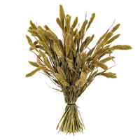 Vickerman 26" Dried Setarea Bunch, 6 oz.