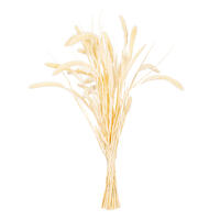 26" Bleached Setarea Bunch 3.25 oz
