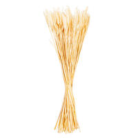 Vickerman 26" Dried Wheat Tarwe Triticum Bunch. This is a natural product, dimensions and color may vary plant to plant.