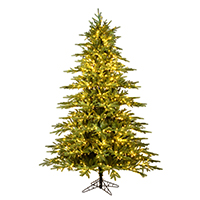 Vickerman Kamas Fraiser Fir Christmas Tree 3MM Warm White