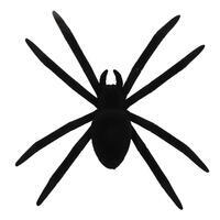 9.5" Flocked Black Spider Ornament 2/Bag