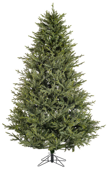 Illustration of a tree at the coverage you have entered