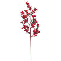 Red Petite Cluster Berry Pick