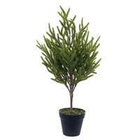 Vickerman Green Norfolk Potted Trees