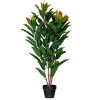 34" Green Myrtle in Pot 125 Lvs Real Tch