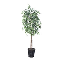 Vickerman 6' Artificial Variegated Ficus Tree