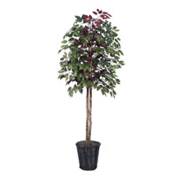 Vickerman Artificial 6' Capensia Potted Tree