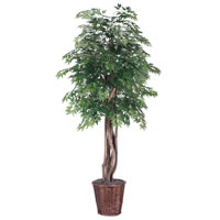 Vickerman Artificial Ming Aralia Extra Full Series