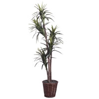 Vickerman Artificial Marginata Extra Full Series