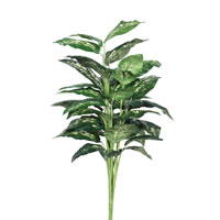 Vickerman Artificial Green and White Dieffenbachia Plant
