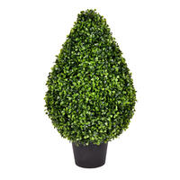 Vickerman Boxwood Teardrop Shaped Bush