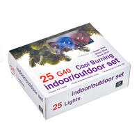 Vickerman Light Clear G40 Twinkle Christmas Light set