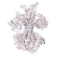 Vickerman C9 Magnetic Socket White Wire