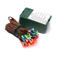 Vickerman LED Wide Angle Battery Operated Christmas Light set