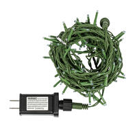 Vickerman LED Christmas Cluster Green Wire Light Set