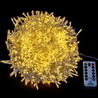Vickerman 1000 Light LED Indoor/Outdoor 8-Function Snake Light Set.