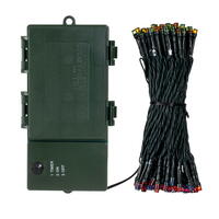 Vickerman LED Battery Operated Light Set