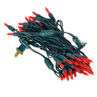 Vickerman Single Mold Italian LED Christmas light set