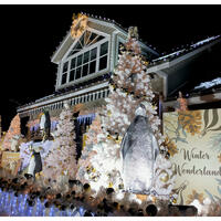 A Winter Wonderland