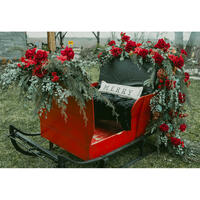 Elegant Sleigh Ride