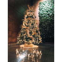 Whimsey Christmas